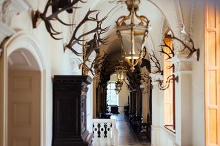 Niecodzienna kradzież w Muzeum Zamkowym w Pszczynie. Ze ściany zniknęły rogi nosorożca